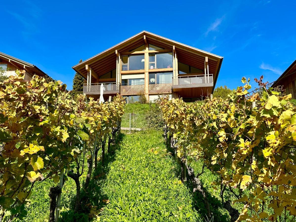 Seaside-Lodge, Top Apartment Spiez Eksteriør billede