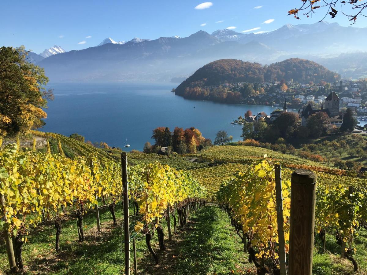 Seaside-Lodge, Top Apartment Spiez Eksteriør billede